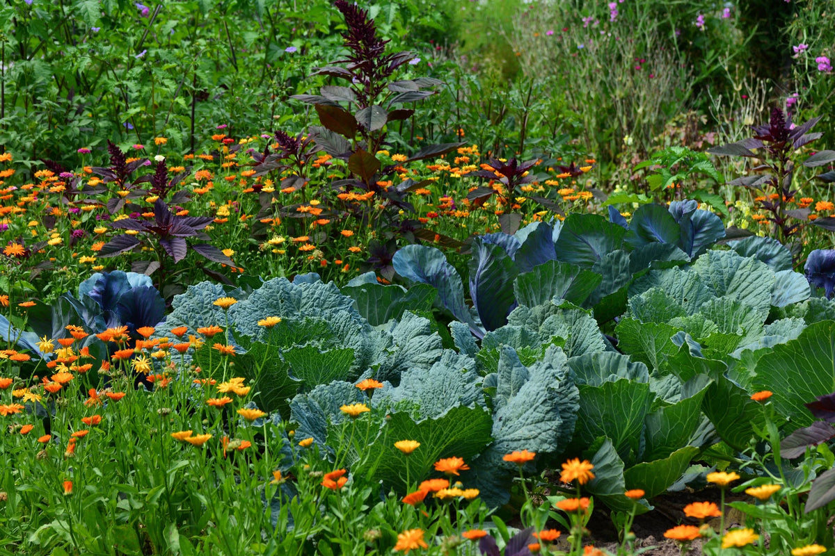 Practical Guide On Gardening v1